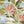 Botanical Floral Pattern