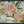 Botanical Floral Pattern