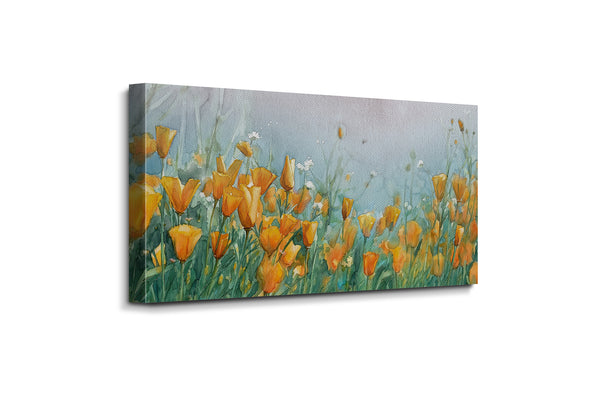 Orange Poppy Field