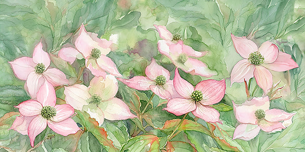Pink Dogwood Blossoms