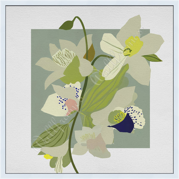 Orchid Sage 1
