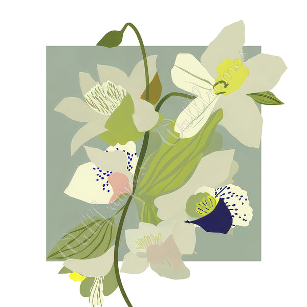 Orchid Sage 1