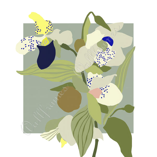 Orchid Sage 2