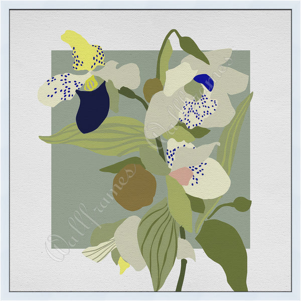 Orchid Sage 2