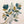 Wild Botanical Study 1